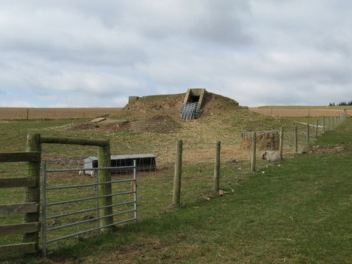 Air-Raid Shelter Upwaltham #1