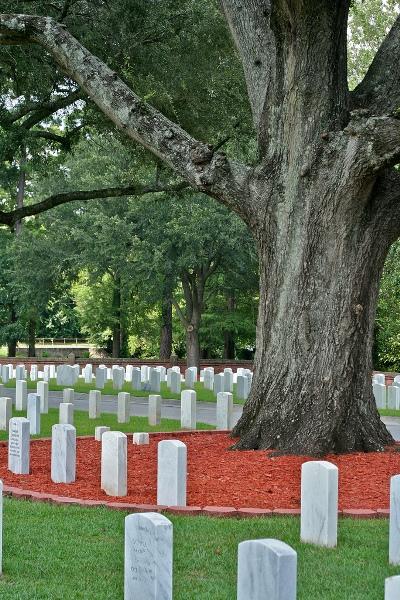 Wilmington National Cemetery #2