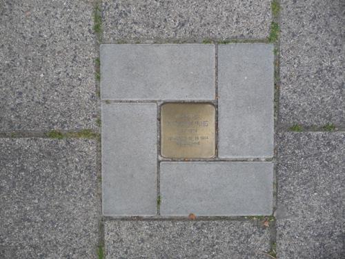 Stolperstein Johan de Wittstraat 31 #3