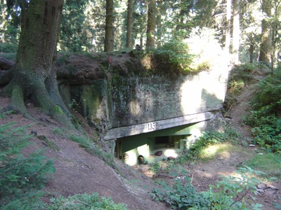 Pillbox No. 135 on Der Buhlert #1