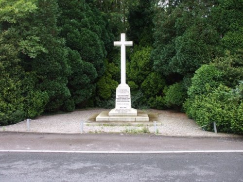 Oorlogsmonument Lisvane #1