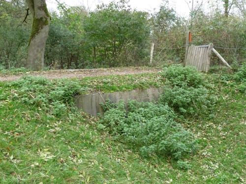 Groepsschuilplaats Type 1918/I Fort Rhijnauwen