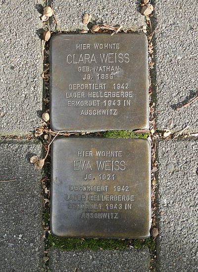 Stolpersteine Schlterstrae 22b #1