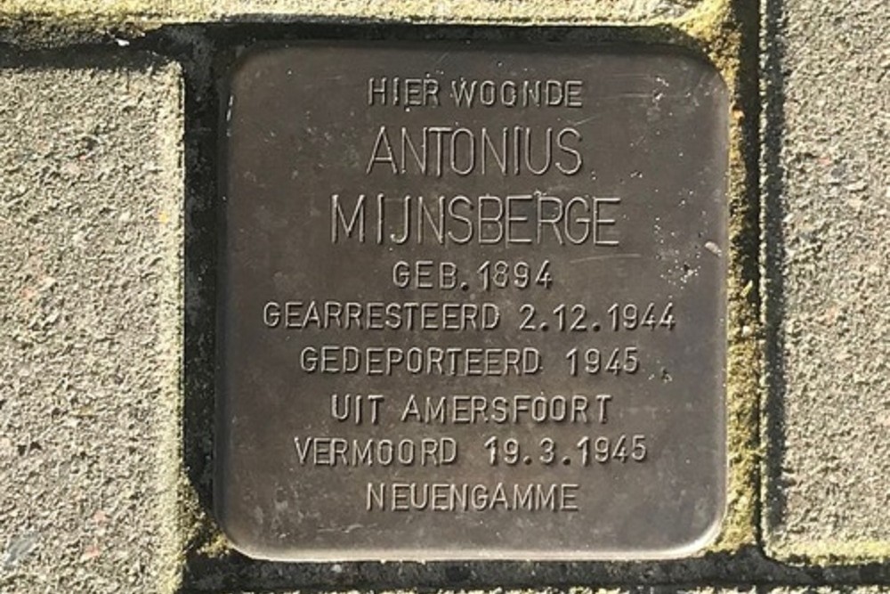 Stolperstein Fuchsiastraat 165