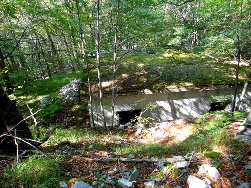 Alpenmuur - Bunker Trstenik #2