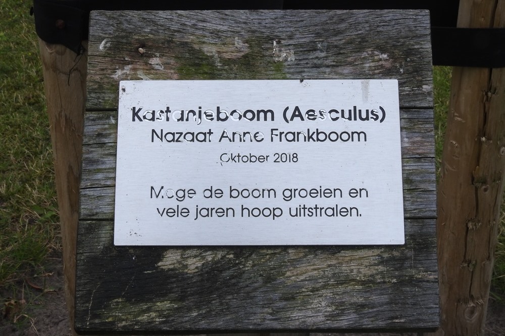 Anne Frank Boom Protestants Kerkhof Made #2