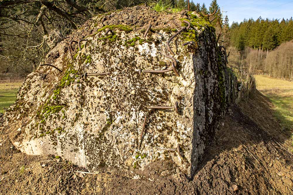 Westwall Bunker Restanten #3