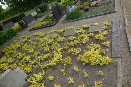 German War Cemetery Oeding #3