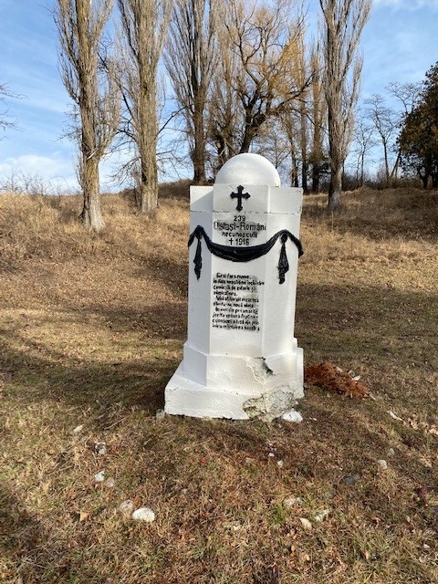 Romanian War Cemetery Roșia #3