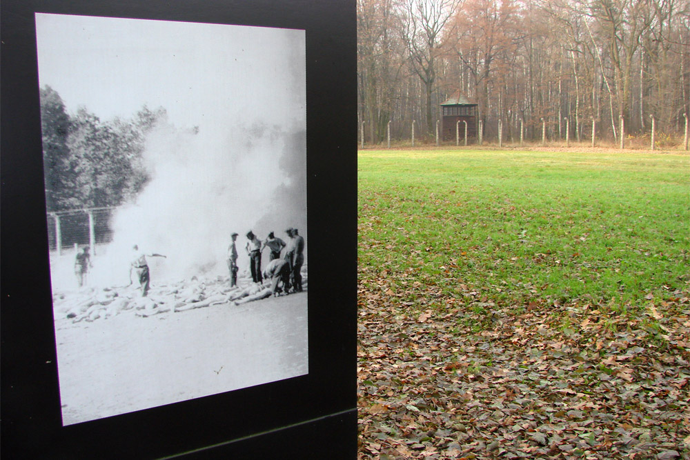 KZ Auschwitz - Asveld