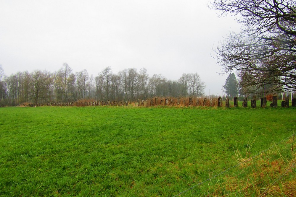 Anti-tank Lijn Bovigny #1