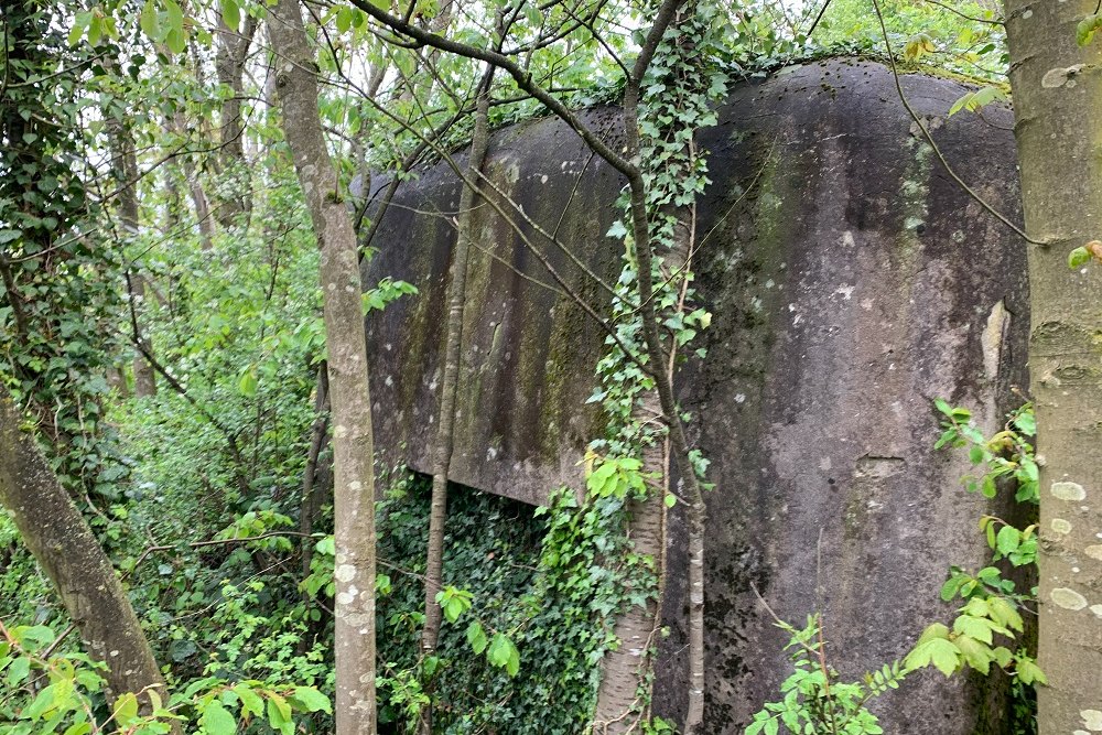 Bunker CS 24 Sougné #1