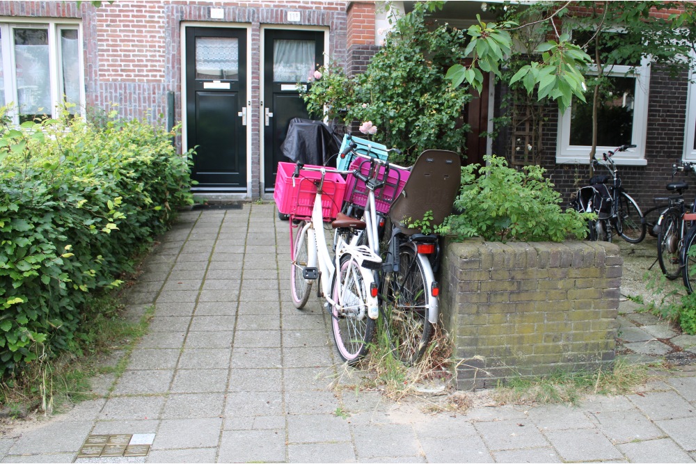 Stolpersteine Cronjéstraat 11 #5