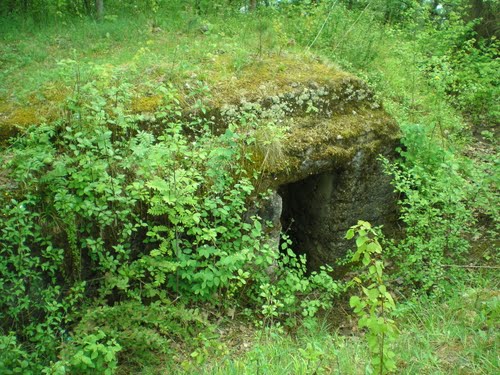 Vesting Kaunas - Duitse Bunker #1