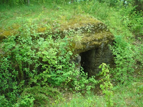 Vesting Kaunas - Duitse Bunker