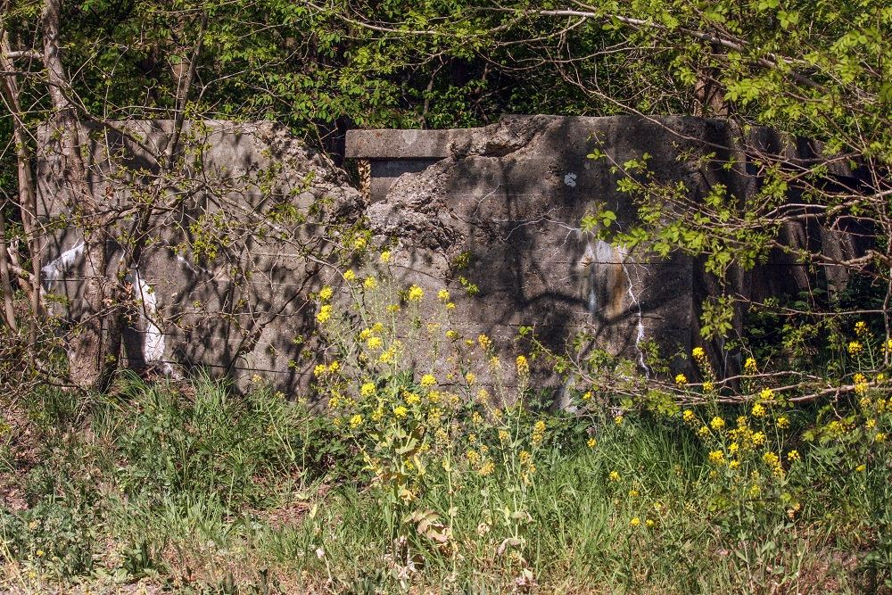 Restant Bunker Vliegveld Gilze Rijen #2