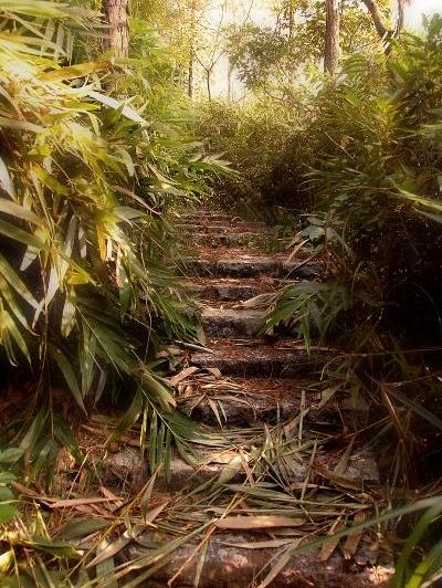 British Pillbox Wong Nai Chung Gap #3