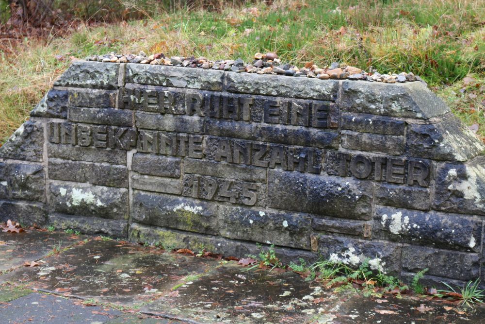 Mass Grave No.2 Concentration Camp Bergen-Belsen #2