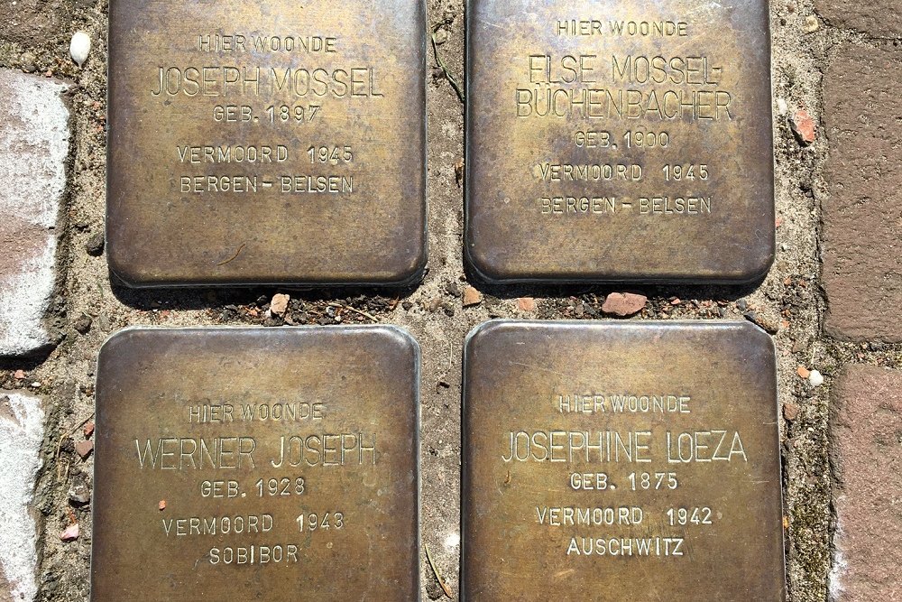 Stolpersteine Van Foreestlaan 10 #1