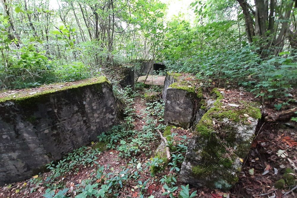 Flakstellung Zingsheim Bunker 3 #4