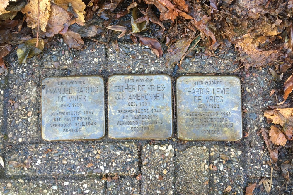 Stolpersteine Hoge Larenseweg 170