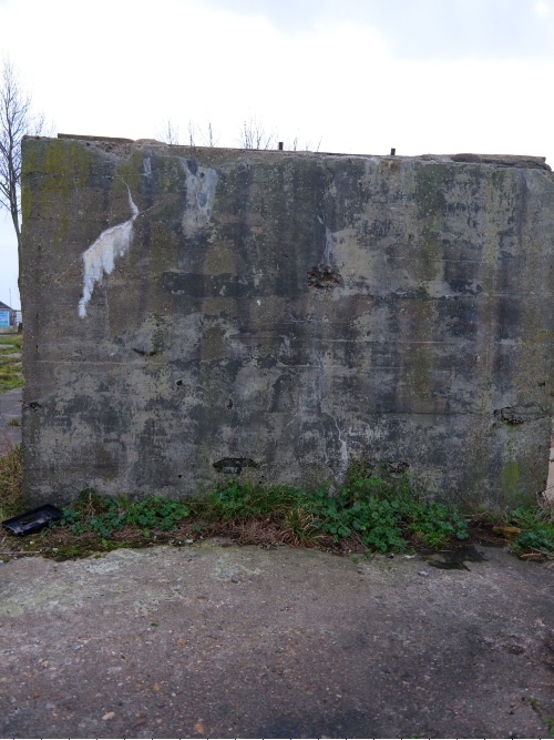 Remains German Gantry Crane #4