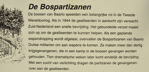 Partizanenkamp Kesselse Bergen #2