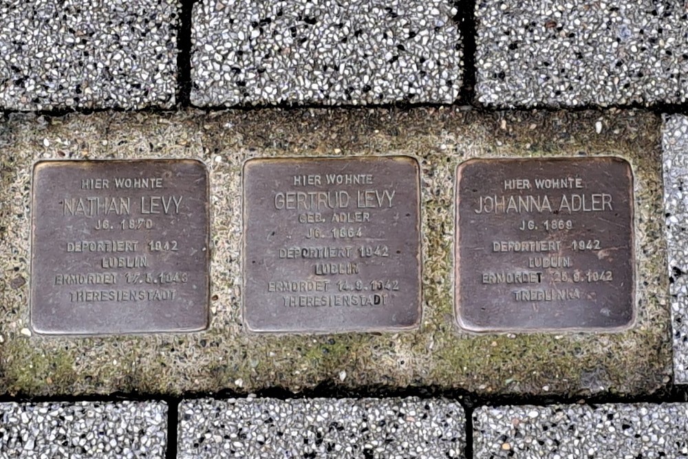 Stolpersteine Hauptstrasse 61 #1