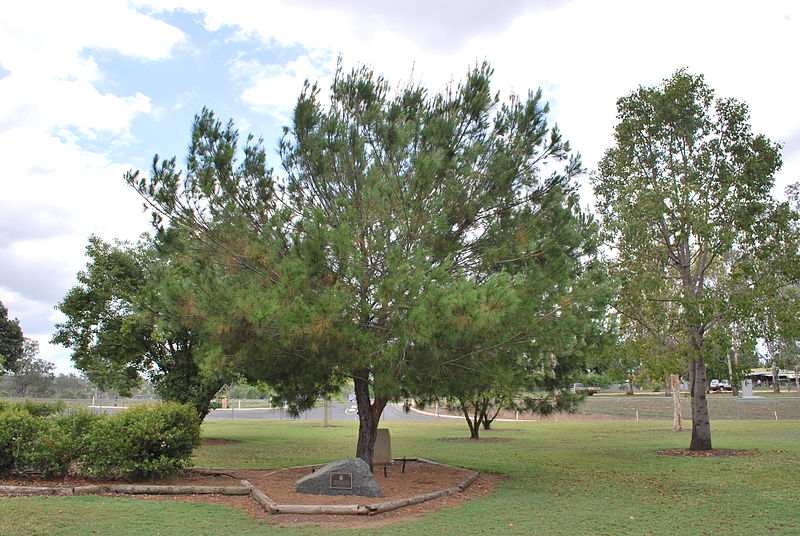 Monument Lone Pine #1