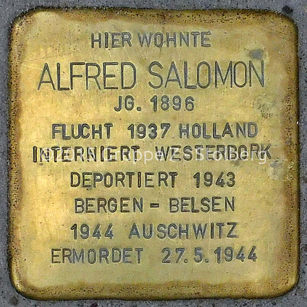 Stolpersteine Steinweg 56 #3