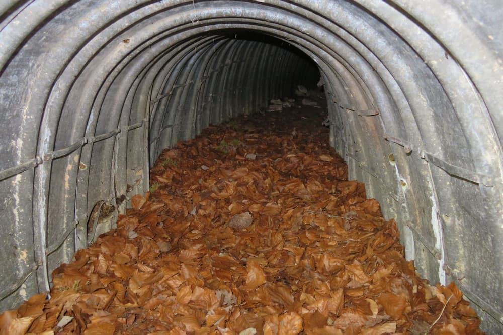 Trench 4 FPK Han-sur-Meuse #3