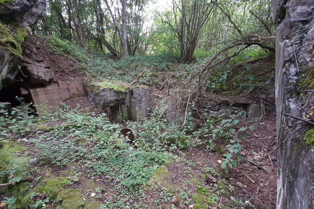 Flakstellung Zingsheim Bunker 2 #2