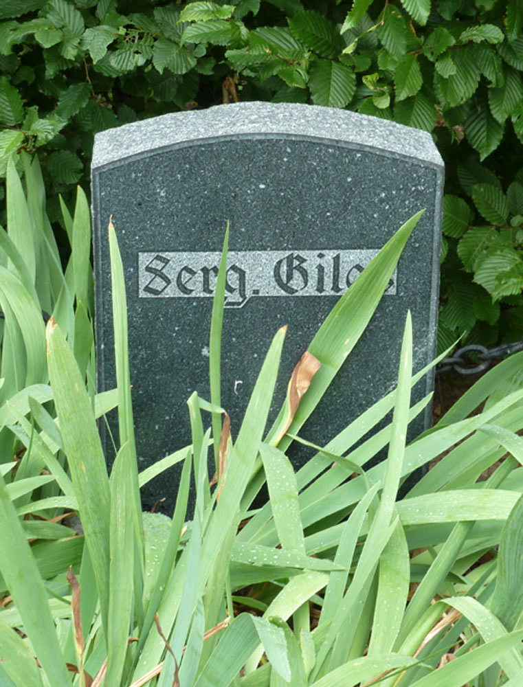 Oorlogsgraven van het Gemenebest Protestante Begraafplaats Altdorf #5