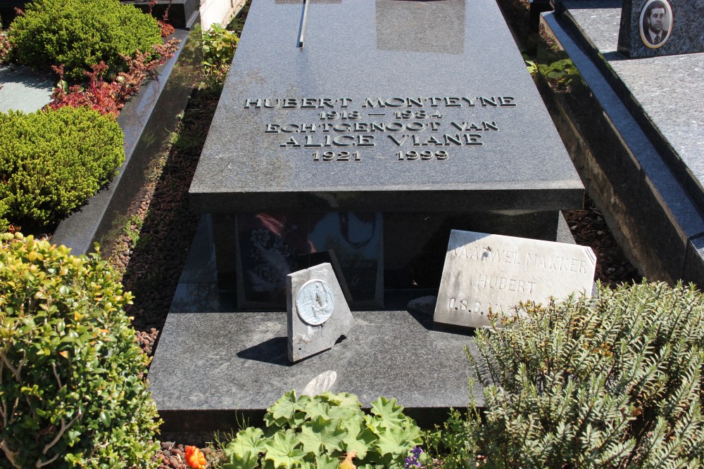 Belgian Graves Veterans Varsenare Cemetery #3