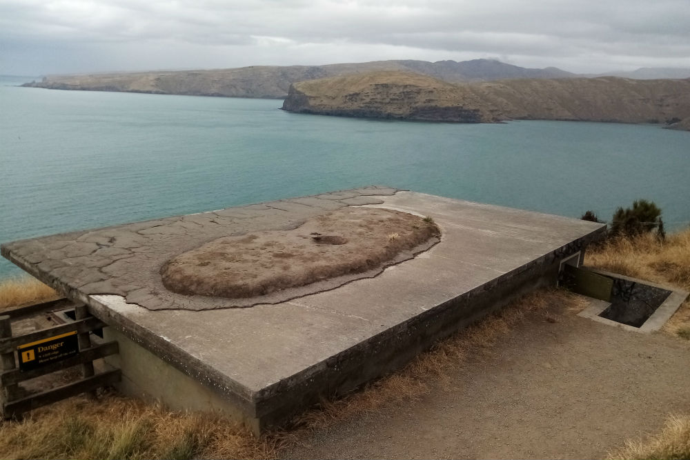 Gun Emplacements Godley Head #5