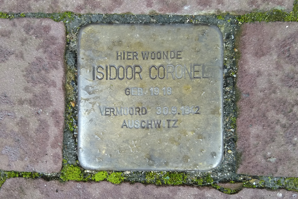 Stolperstein Tollenstraat 7