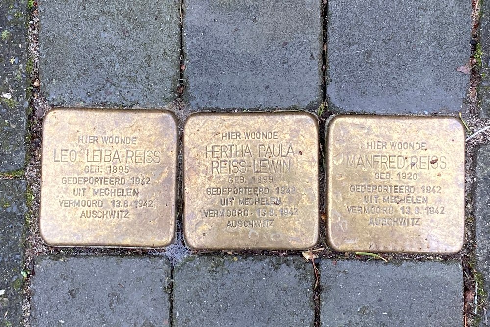 Stolpersteine Wezellaan 8 #1