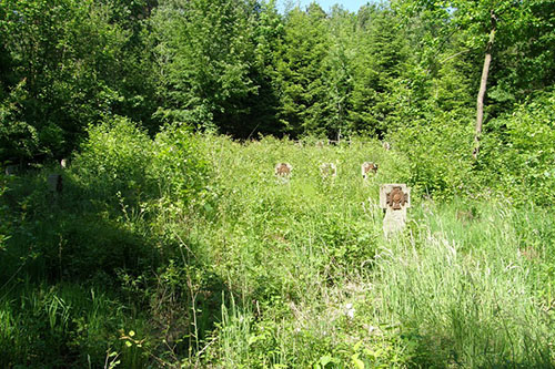 Russian War Cemetery No. 155 #1