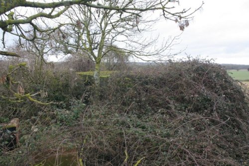 Pillbox FW3/28 Theale #1