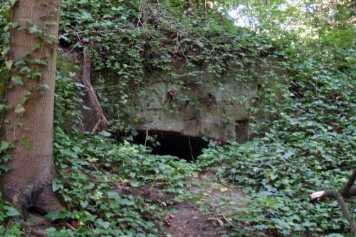 Fort Cwiczebny #1