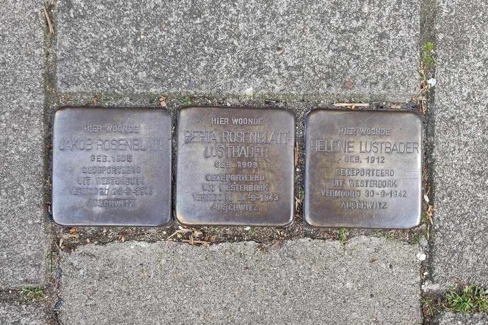 Stolpersteine Ruyschstraat 32 #1