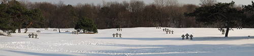 German War Cemetery Pillau / Baltijsk #3