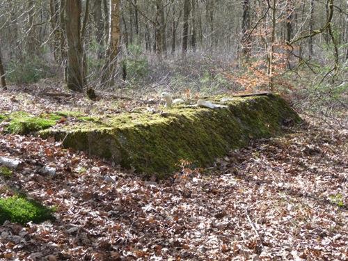 Group Shelter Type 1918/I De Fransche Kamp