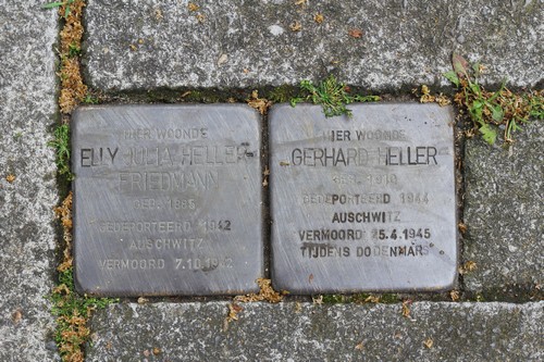 Stolpersteine Rodenbachlaan 7 #2