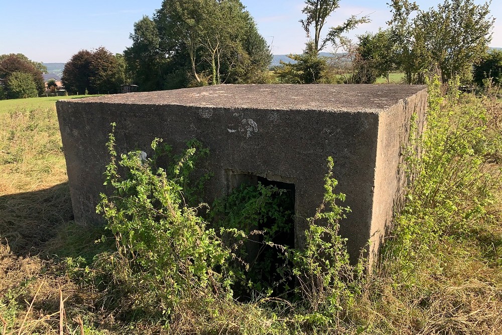 Bunker O - Position Avancée Hombourg #5