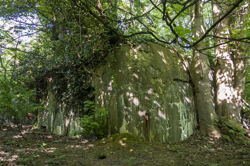 Bunker BN4 Grensstelling Lanaken #2