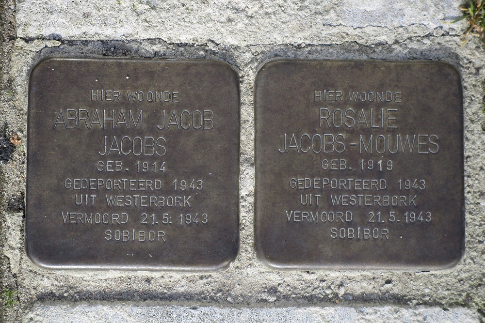 Stolpersteine Gualtherus Sylvanusstraat 11 #1