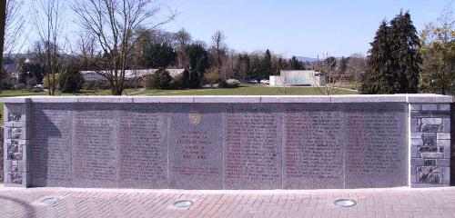 Oorlogsmonument Fermoy #1