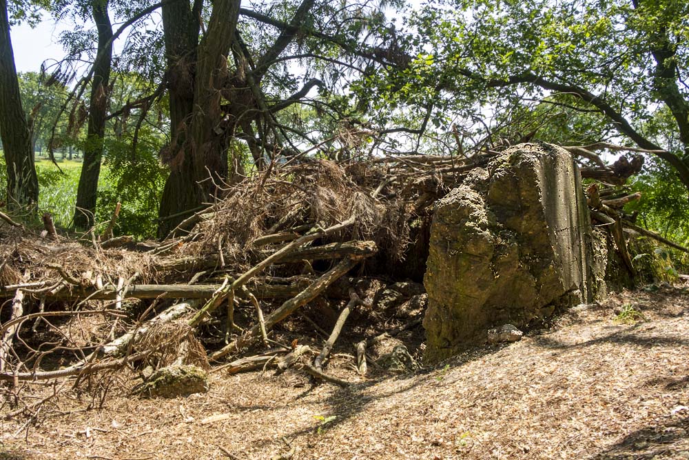 Peel-Raamstelling - G-Casemate nr. 3