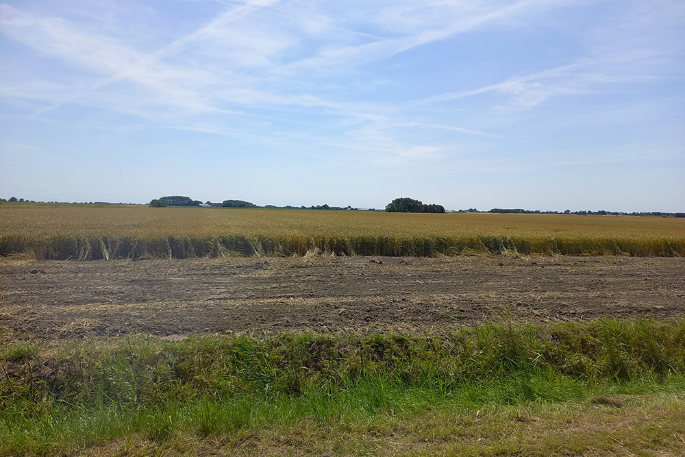 Labor Camp Westpolder